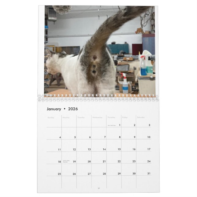 2022 Katzen-Hintern-Kalender Kalender (Jan 2026)