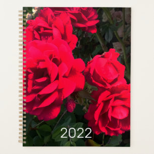 2022 Rote Rosen Rosarium Planer