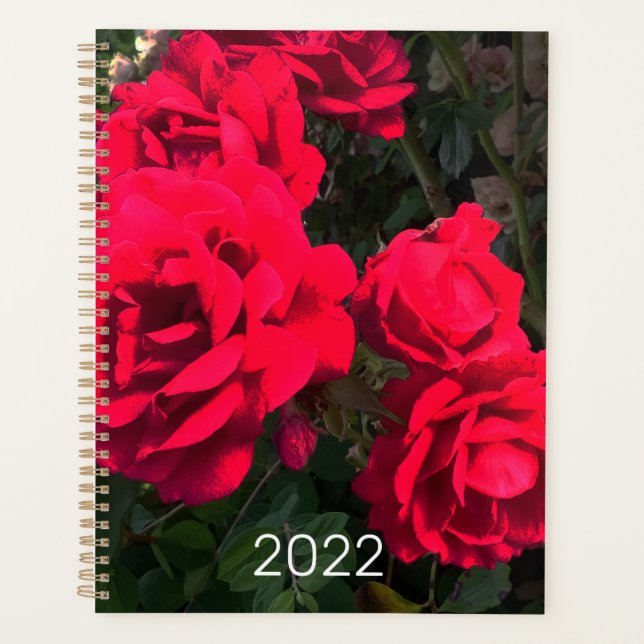 2022 Rote Rosen Rosarium Planer (Vorderseite)