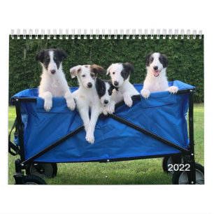 2022 Silken Windhunde (Welpen) Kalender