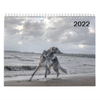 2022 Silken Windhunden (mehrere Hunde und in Aktio Kalender
