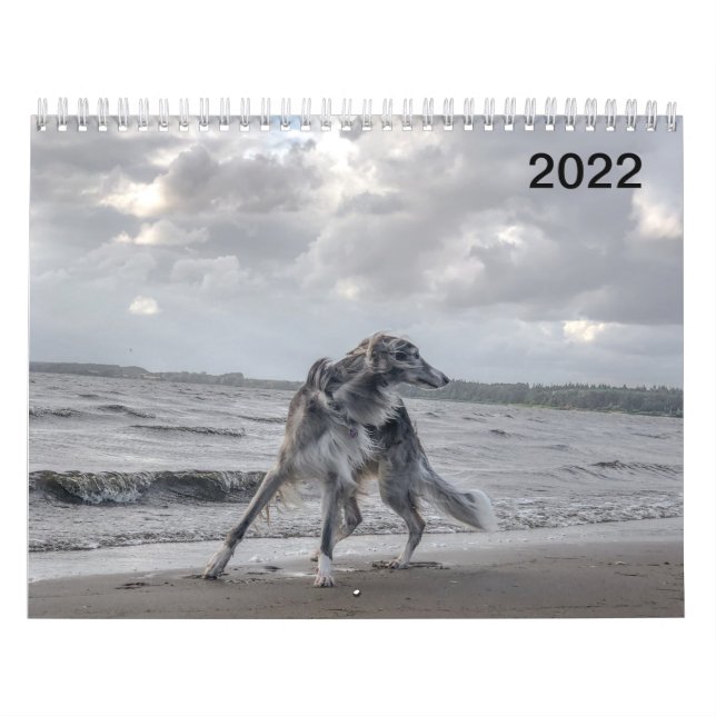 2022 Silken Windhunden (mehrere Hunde und in Aktio Kalender (Titelbild)