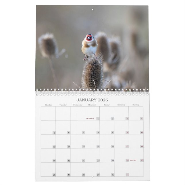 2022 UK Wildlife Calendar Kalender (Jan 2026)