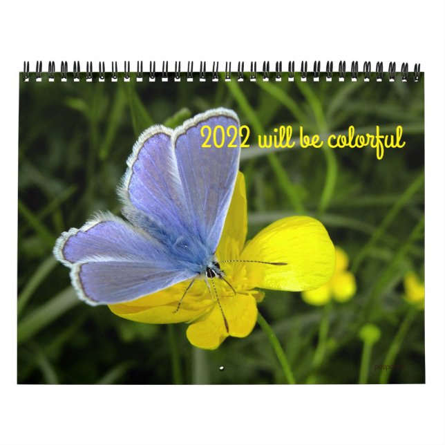 2022 wird farbenfroher Kalender (Titelbild)