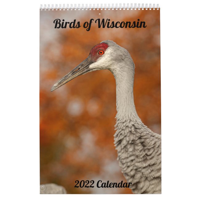 2022 Wisconsin-Vogelkalender Kalender (Titelbild)