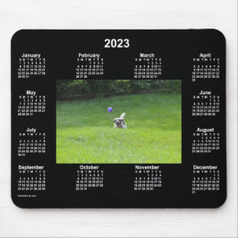 2023 Ball Playing Dog Neon Foto Calendar von Janz Mousepad
