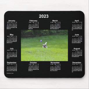 2023 Ball Playing Dog Neon Foto Calendar von Janz Mousepad