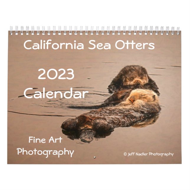 2023 California Sea Otters Wall Calendar Kalender (Titelbild)