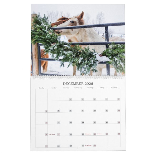 2023 - Ein Michigan Mustang Year Calendar Kalender (Dez 2026)