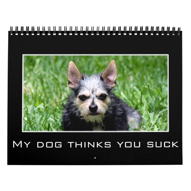 2023 Entmutigung und Demotivationaler Spaß Kalender (Titelbild)