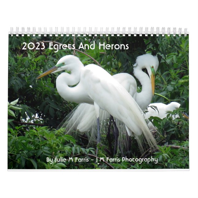 2023 ERBE UND HERONEN 2 - Kalender (Titelbild)