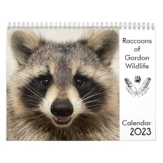 2023 Kalender Raccoons of Gordon Wildlife