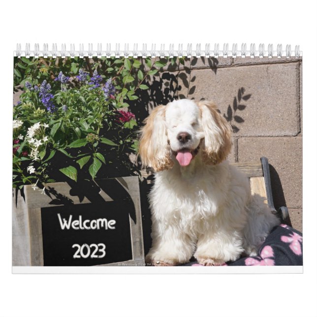 2023 Niedlicher & Adorable Hunde-Kalender Kalender (Titelbild)
