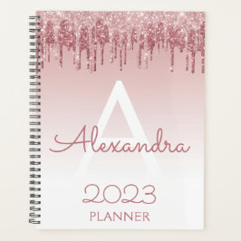2023 Rose Gold Blush Pink Glitzer Sparkle Monogram Planer