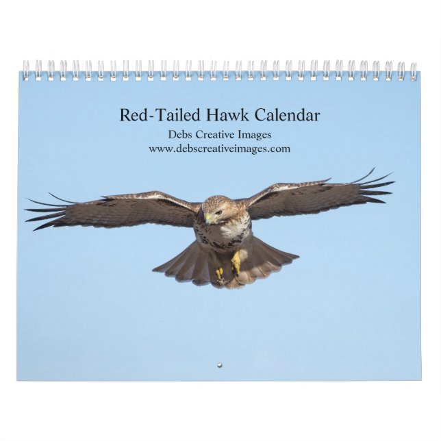 2023 Roter Schwanz im Hudson-Tal Kalender (Titelbild)