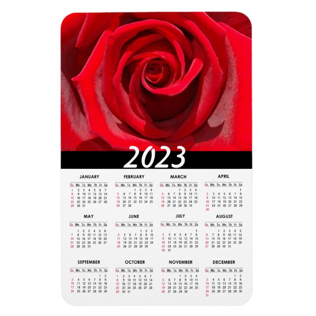 2023 Schöne Rote Rose | Blumenkalender Magnet (Vertikal)