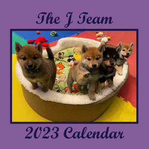 2023 Shiba PuppyCam Wall Calendar Kalender