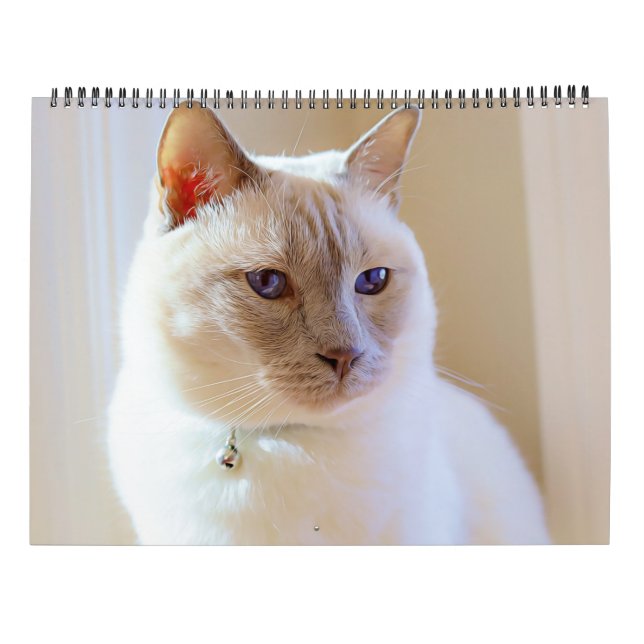 2023 Siamesischer Königskalender Kalender (Rückseite)