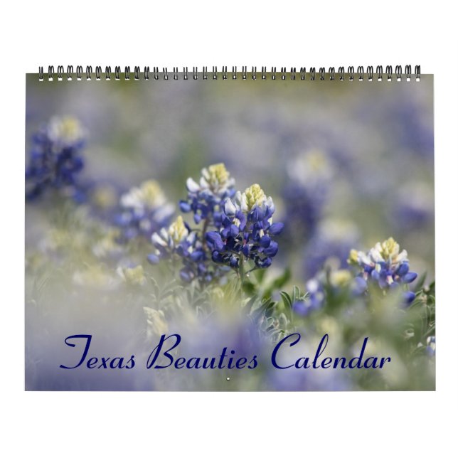 2023 Texas-Bluebonnets Kalender (Titelbild)