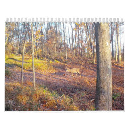 2023 Tiere des Naturkalenders Kalender