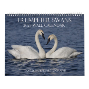 2023 Trumpeter Swan Wall Calendar Kalender