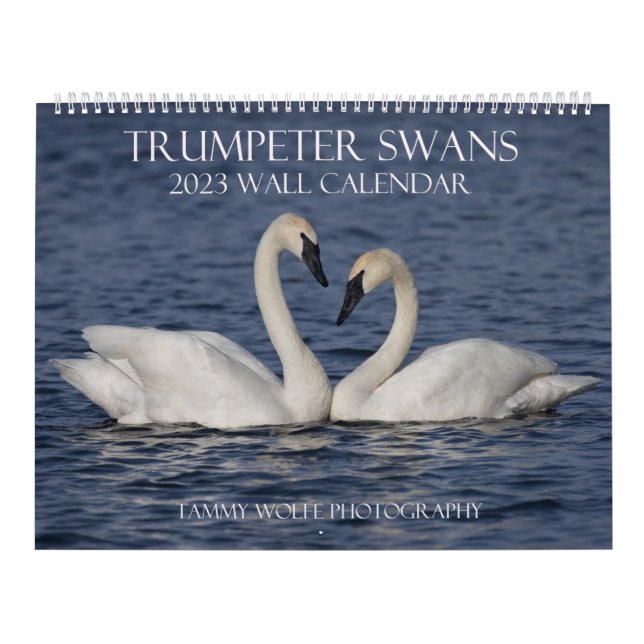 2023 Trumpeter Swan Wall Calendar Kalender (Titelbild)