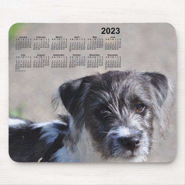 2023 Welpenkalender von Janz Jack Russell Terrier Mousepad (Vorne)