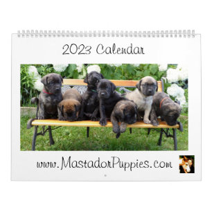 2023 Welpenkalender von Mastador Kalender