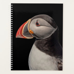 2024 Atlantic Puffin in Maine Planer