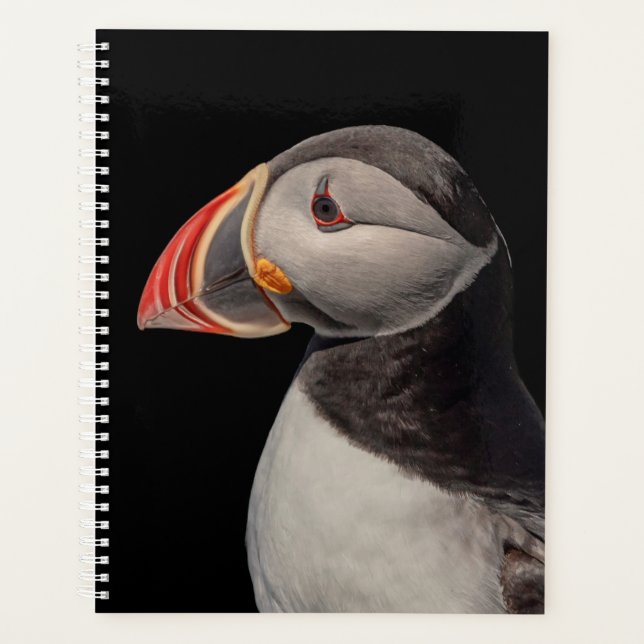 2024 Atlantic Puffin in Maine Planer (Vorderseite)