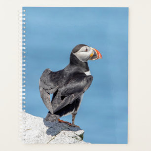 2024 Atlantic Puffin in Maine Planer