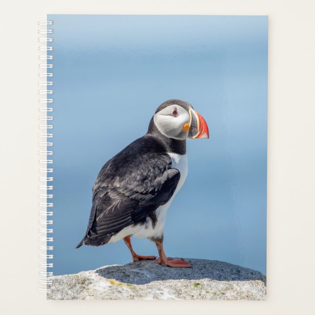 2024 Atlantic Puffin in Maine Planer (Vorderseite)
