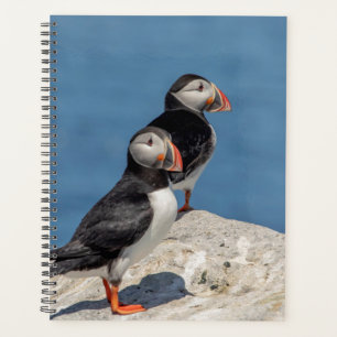 2024 Atlantic Puffins in Maine Planer
