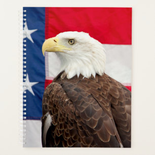 2024 Bald-Adler mit amerikanischer Flagge Planer