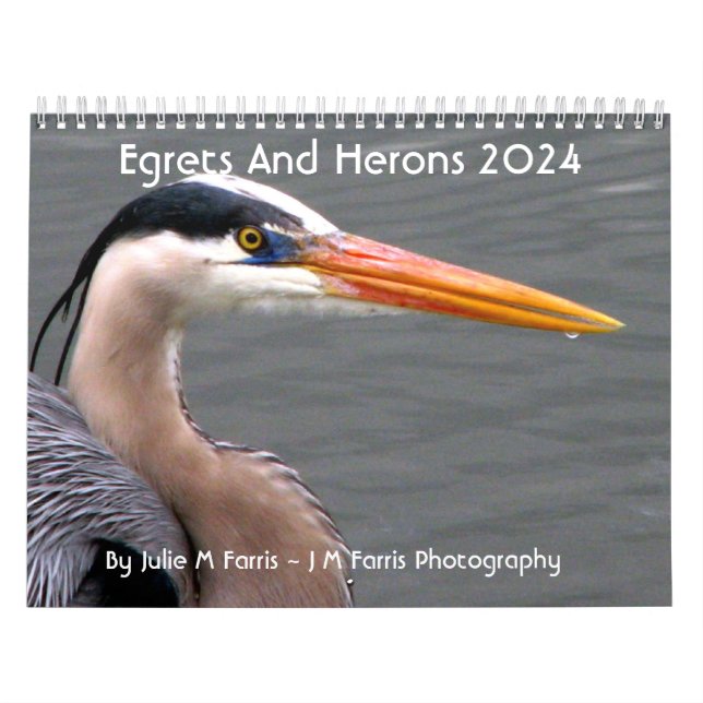 2024 Egrets & Herons-Kalender Kalender (Titelbild)