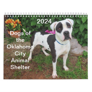 2024 Hunde des Tierschutzhauses Oklahoma City Kalender