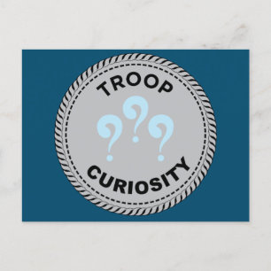 2024 IGGPPCamp Fragen zum Truppenpreis Postkarte