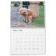 2024 Kackend lustige Tiere Personalisiert Kalender (Okt 2025)