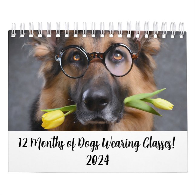 2024 Kalender 12 Monate Hunde mit Brille (Titelbild)