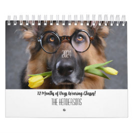 2024 Kalender 12 Monate Hunde mit Brille