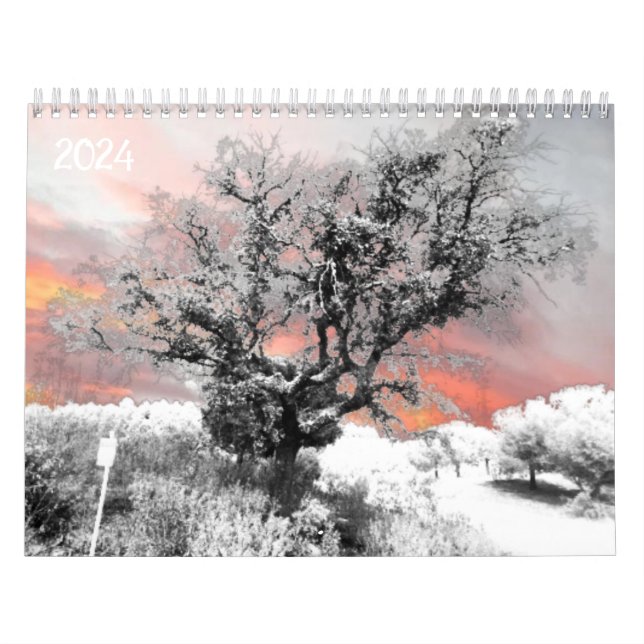 2024 Kalenderplaner Kunst und Design Kalender (Titelbild)