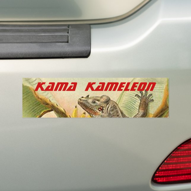 2024 KAMALA HARRIS kameleon CHAMELEON Lizard Autoaufkleber (Auf Auto)