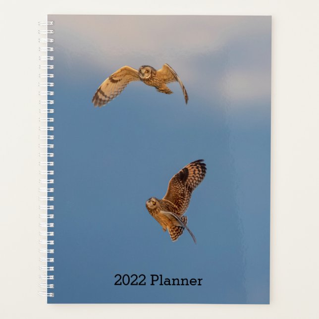 2024 Kurz geächtete Eulen Planer (Vorderseite)