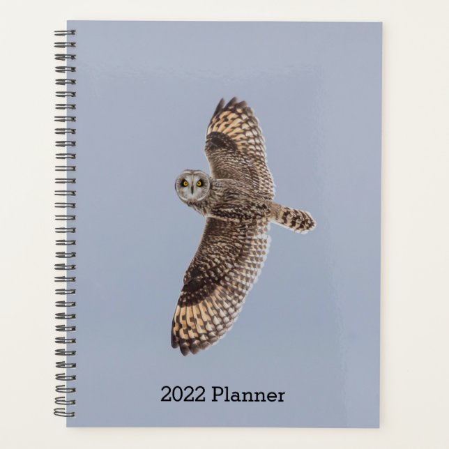 2024 Kurz gezüchtetes Schaf Planer (Vorderseite)