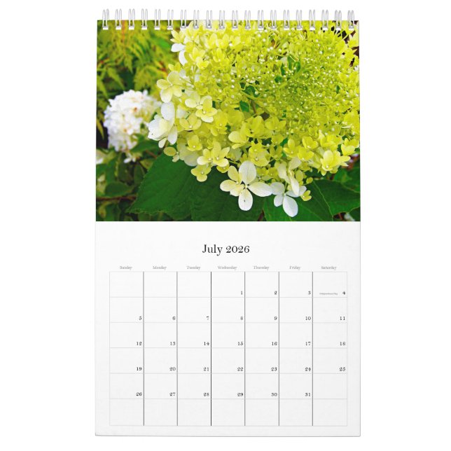 2024 My Rubio Garden Elegant Hydrangeas Kalender (Jul 2026)