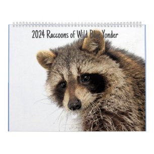 2024 Raccoons of Wild Blue Yonder Kalender