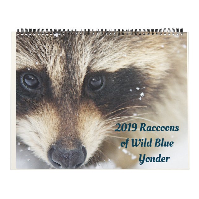 2024 Raccoons of Wild Blue Yonder Wildlife Rescue Kalender (Titelbild)