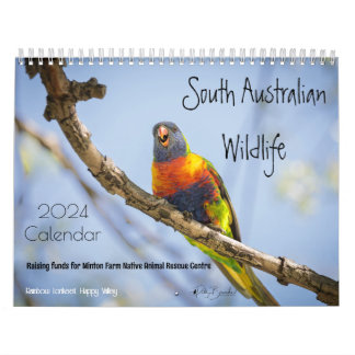 2024 SA Wildlife wall Kalender