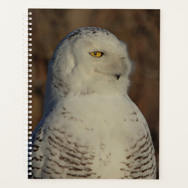 2024 Snowy Owl Planer (Vorderseite)