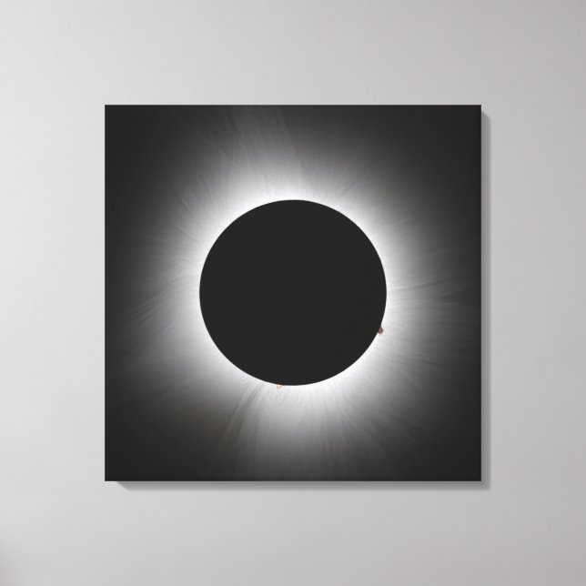2024 Solar Eclipse - Corona Leinwanddruck (Vorderseite)